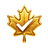 Maple verified